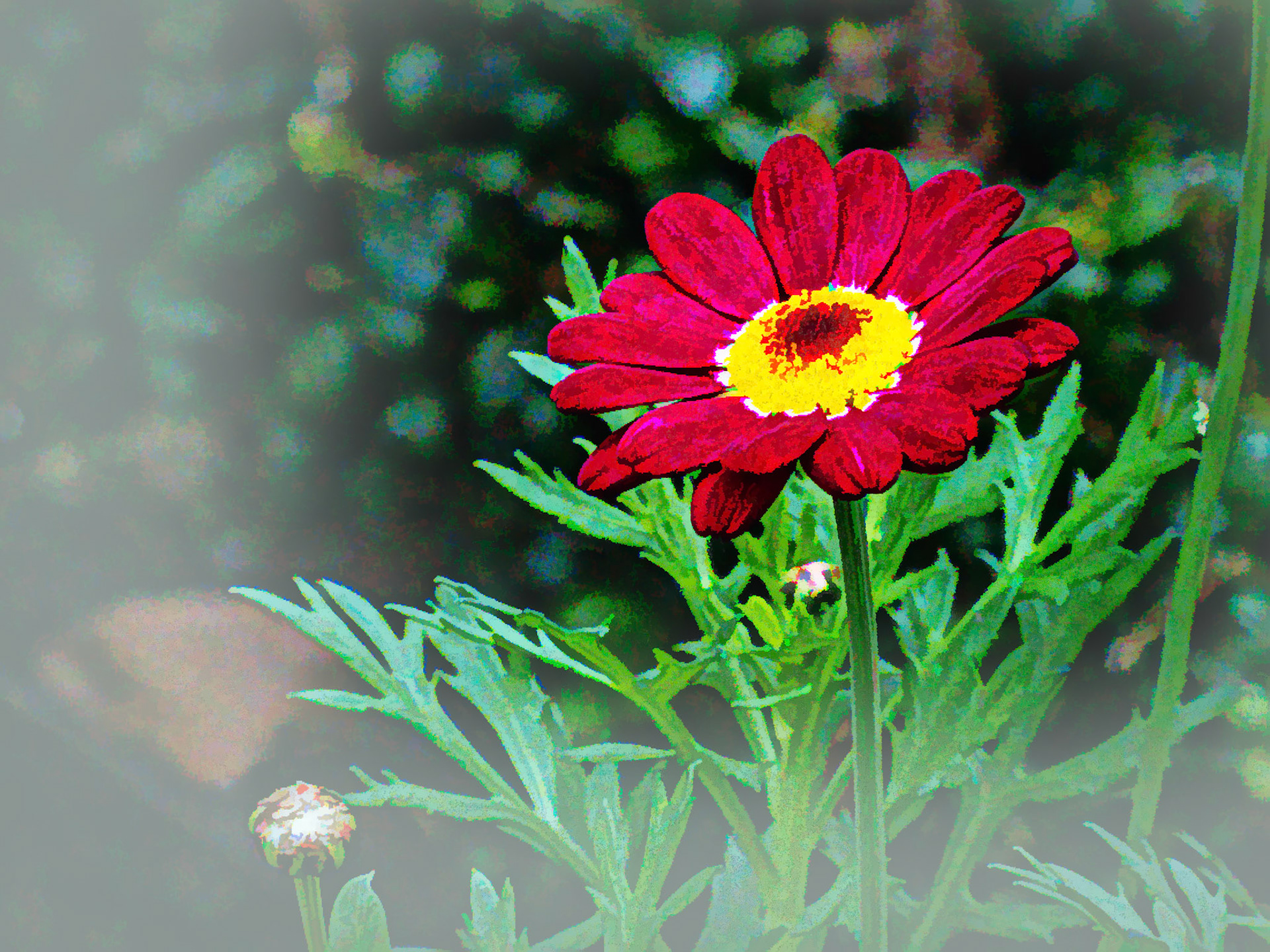 IRELAND . UNFINISHED WORK IN PROGRESS