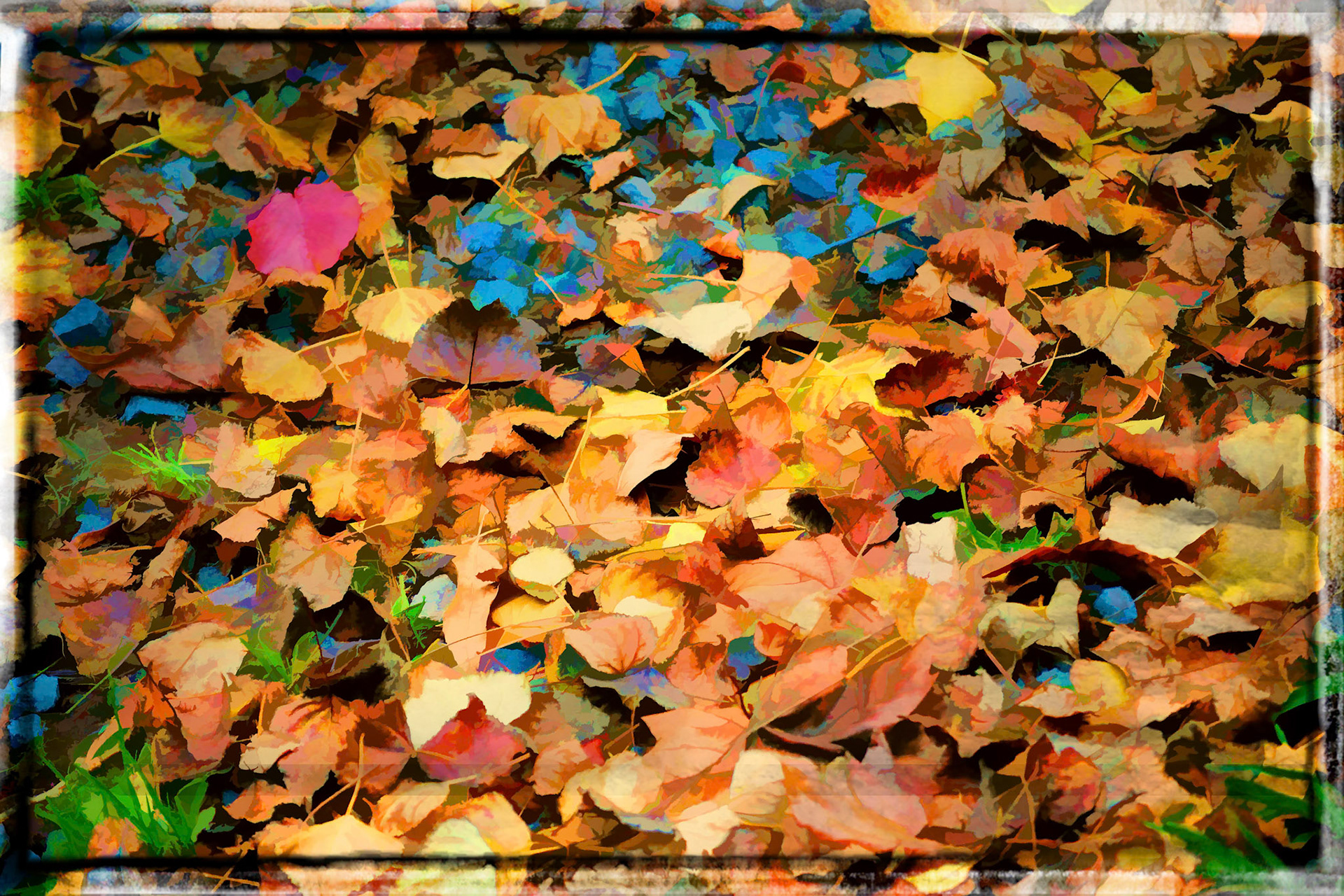 Beautiful leaves on the ground on Christmas