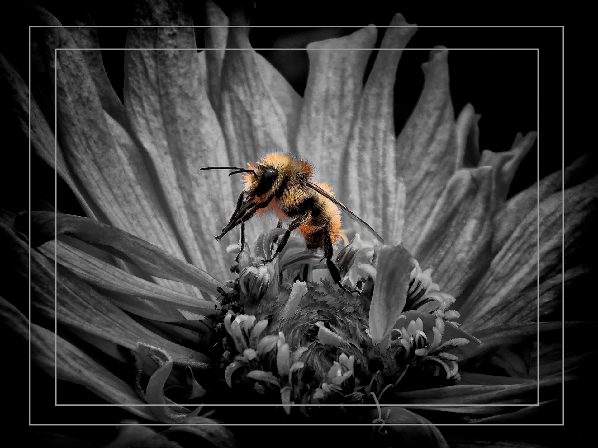Getting set to have lunch. Taken at Butchart Gardens, Victoria, BC