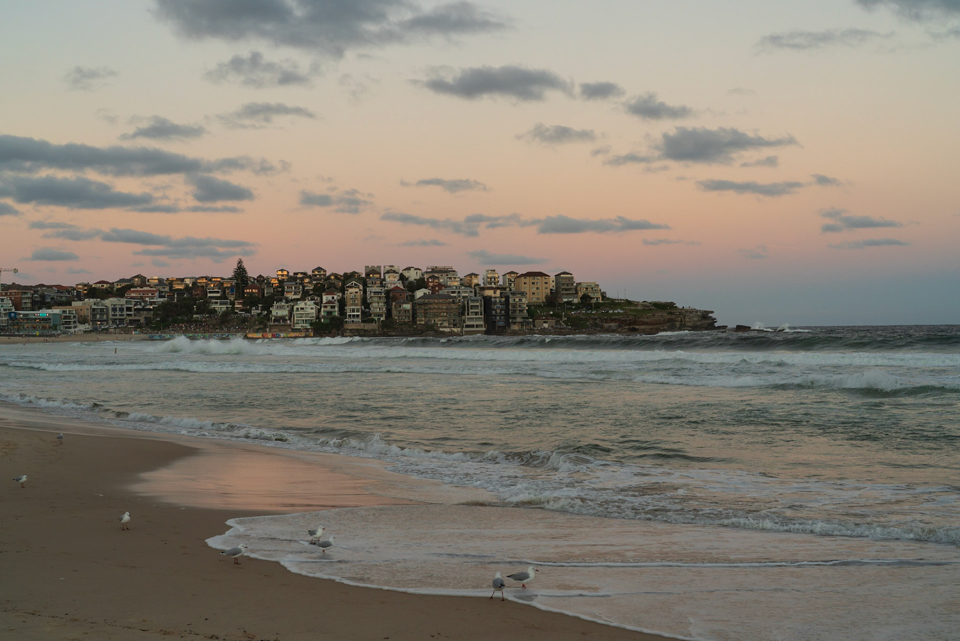 Bondi Beach