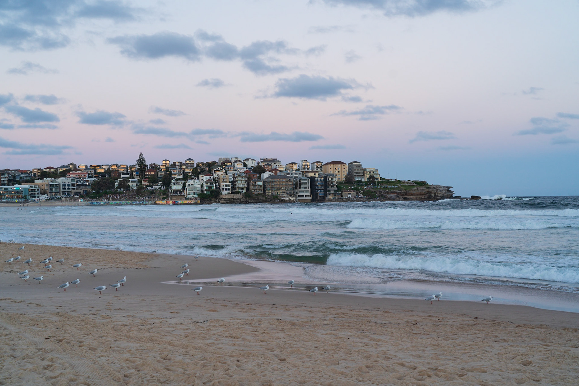 Bondi Beach