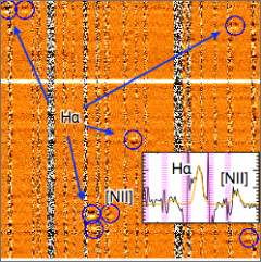 Spectroscopic surveys (Kashino et al. 2019)