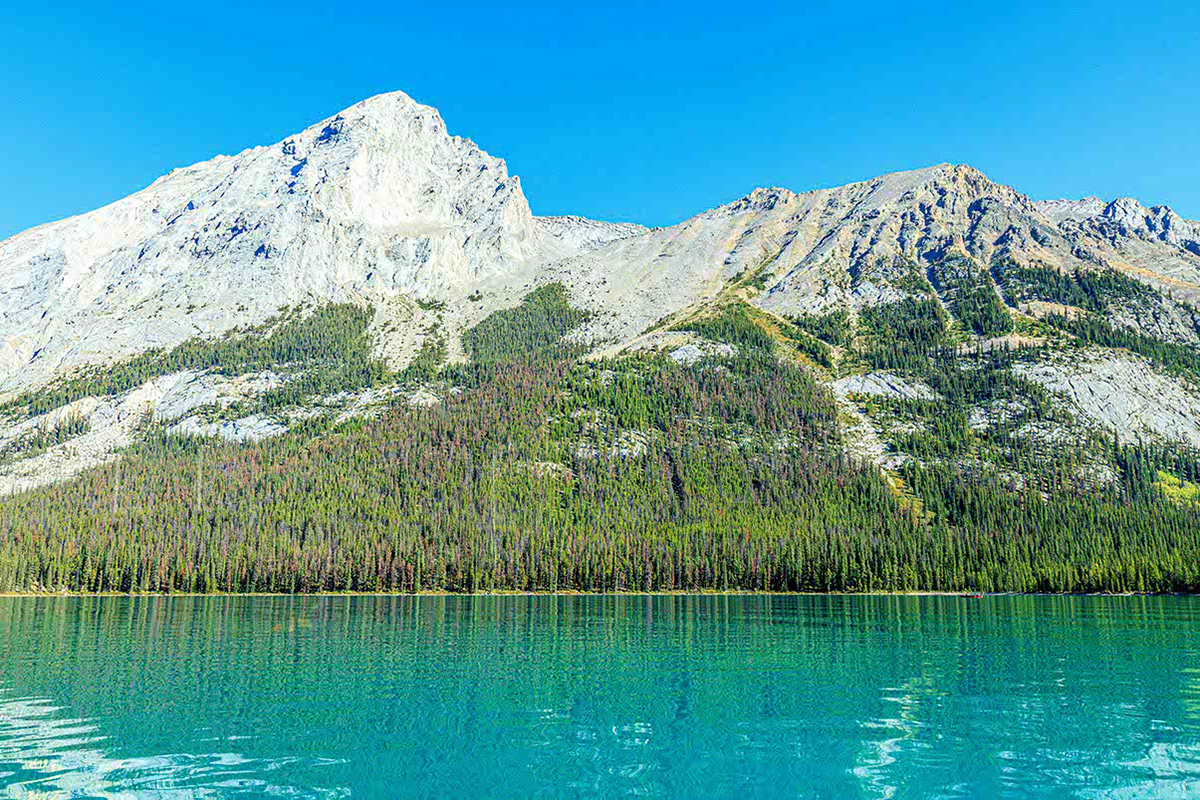 Lake Maligne Area