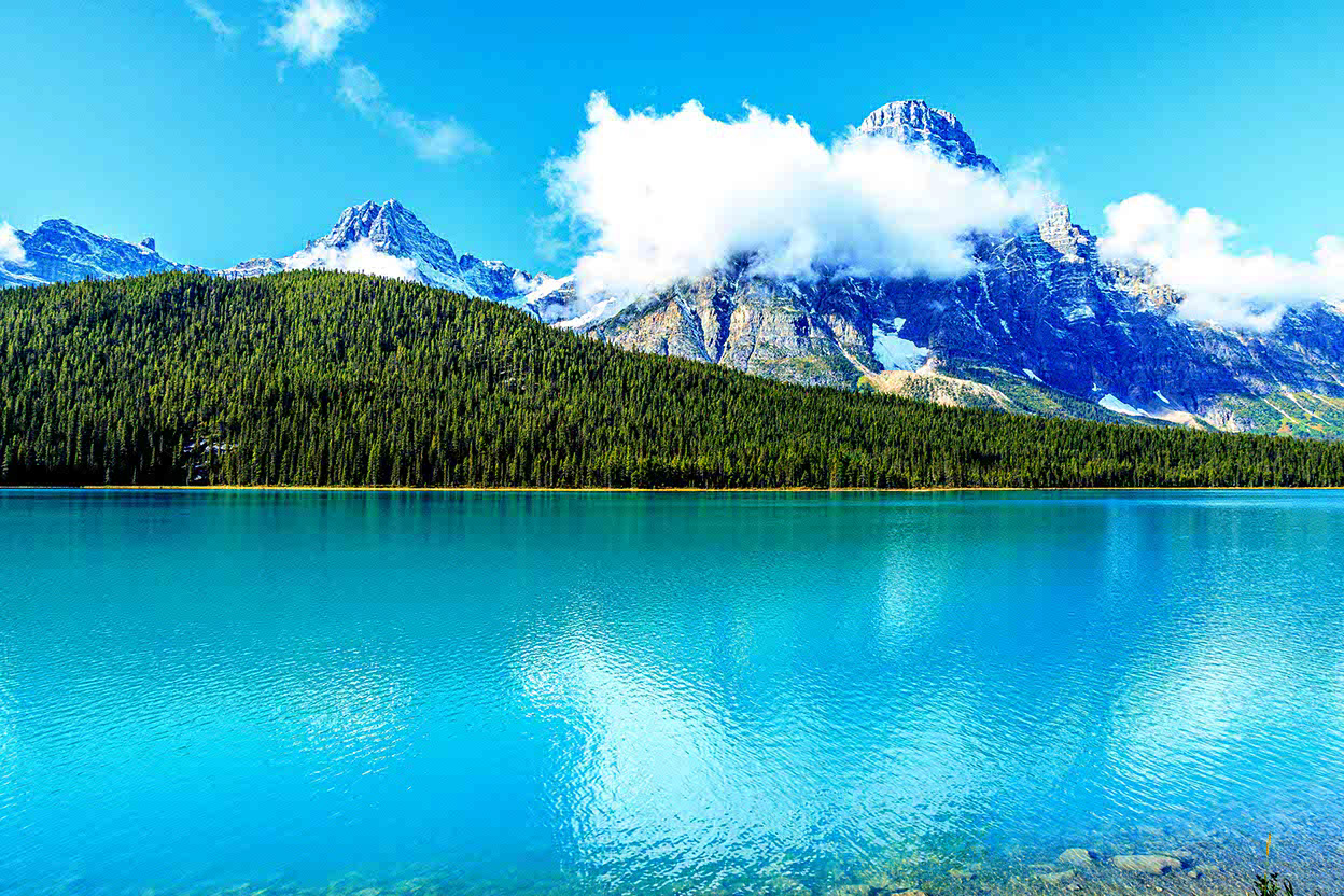 Waterfowl Lake