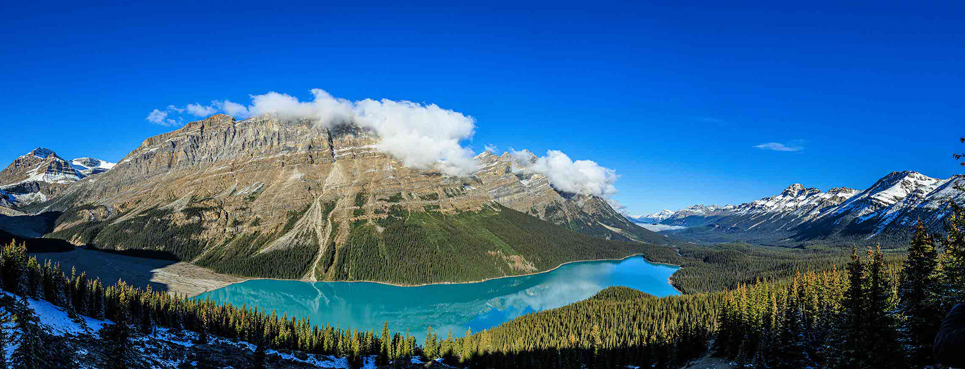 Peyto Lake