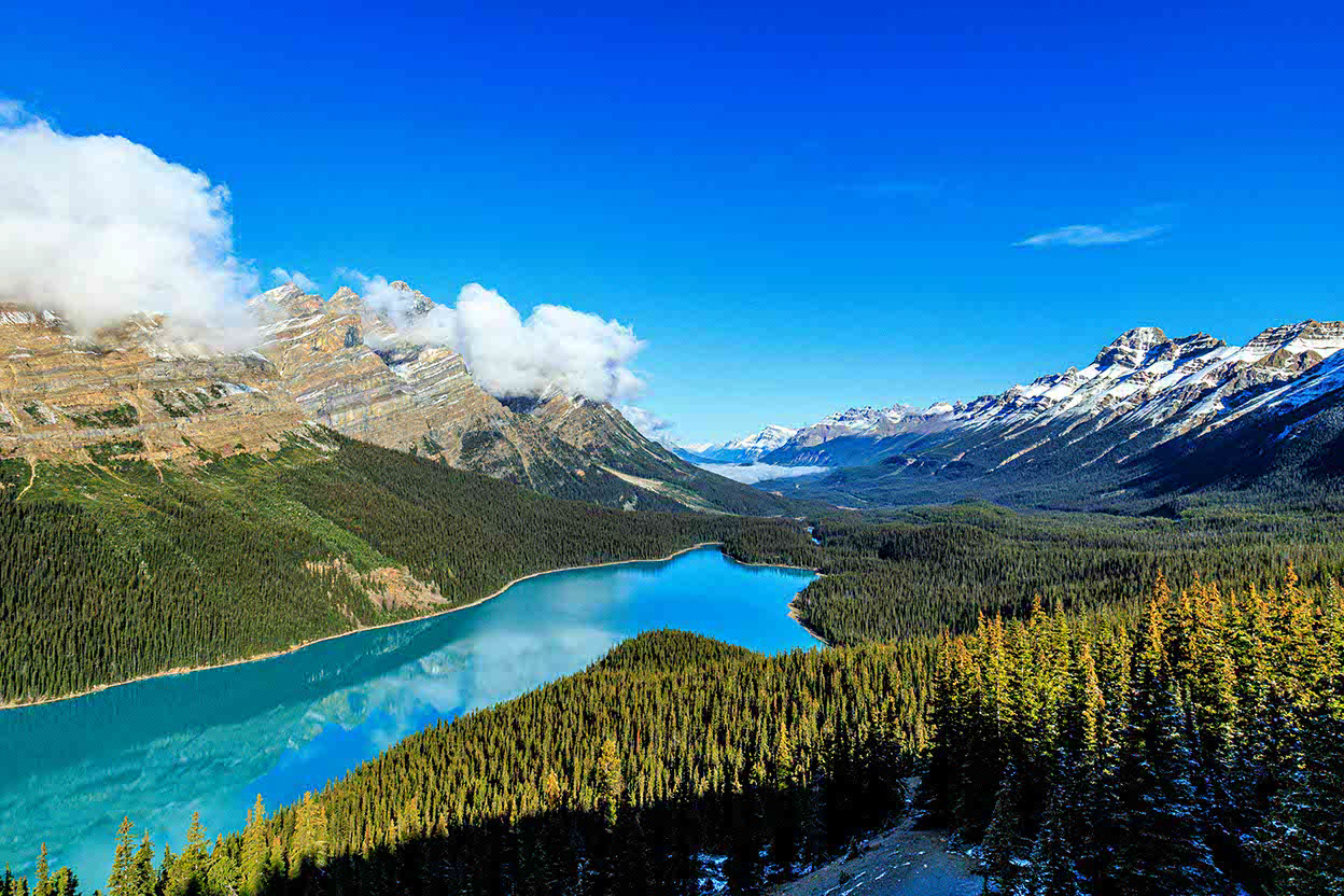 Peyto Lake