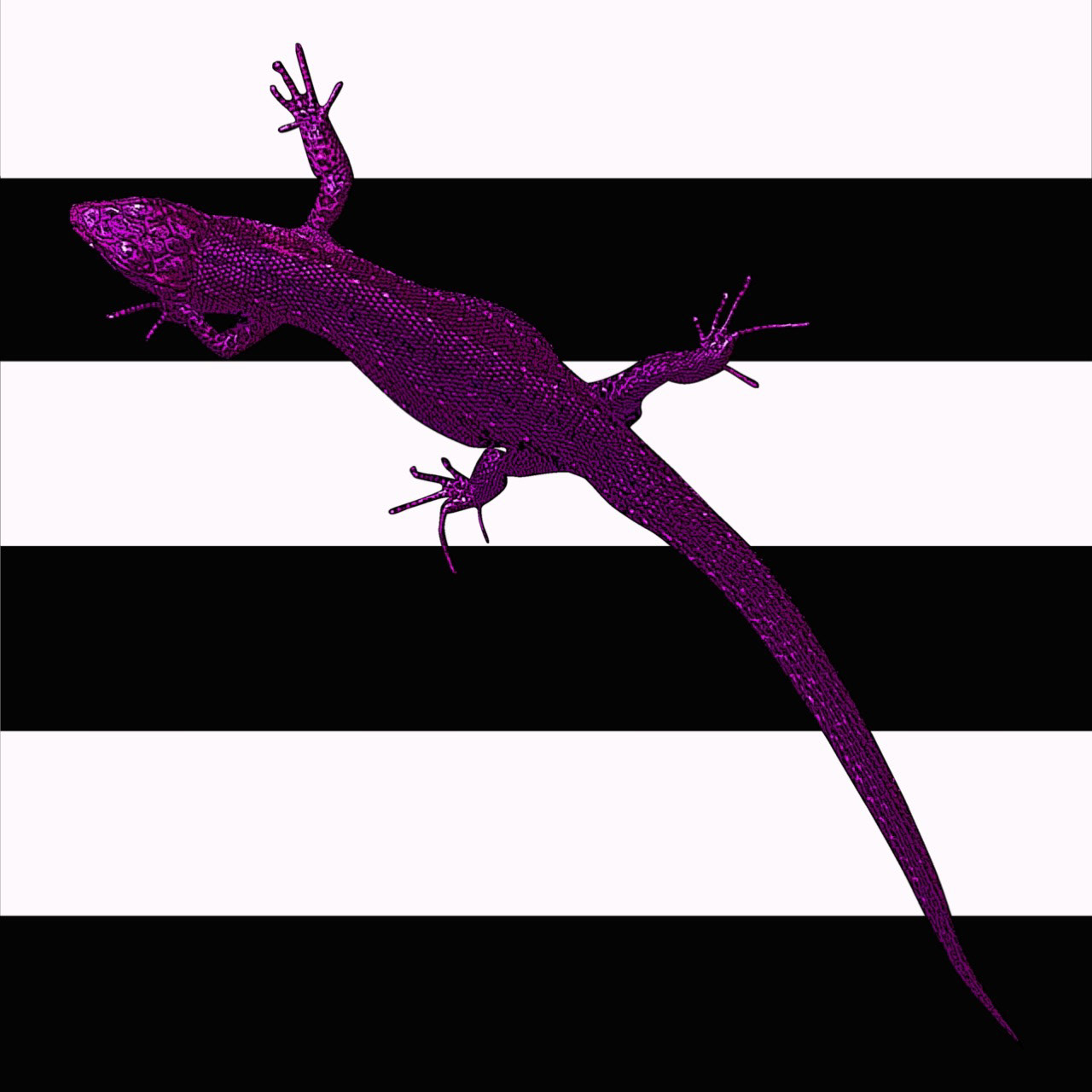 Pink Gekko