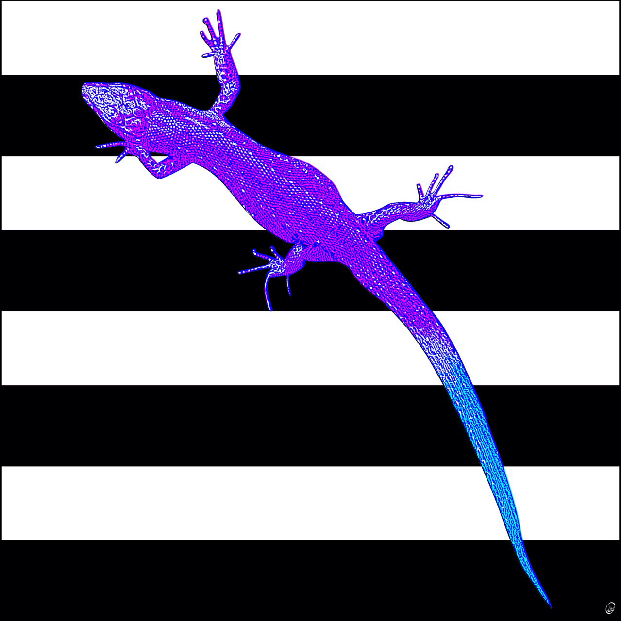 Purple Gekko (B&W)