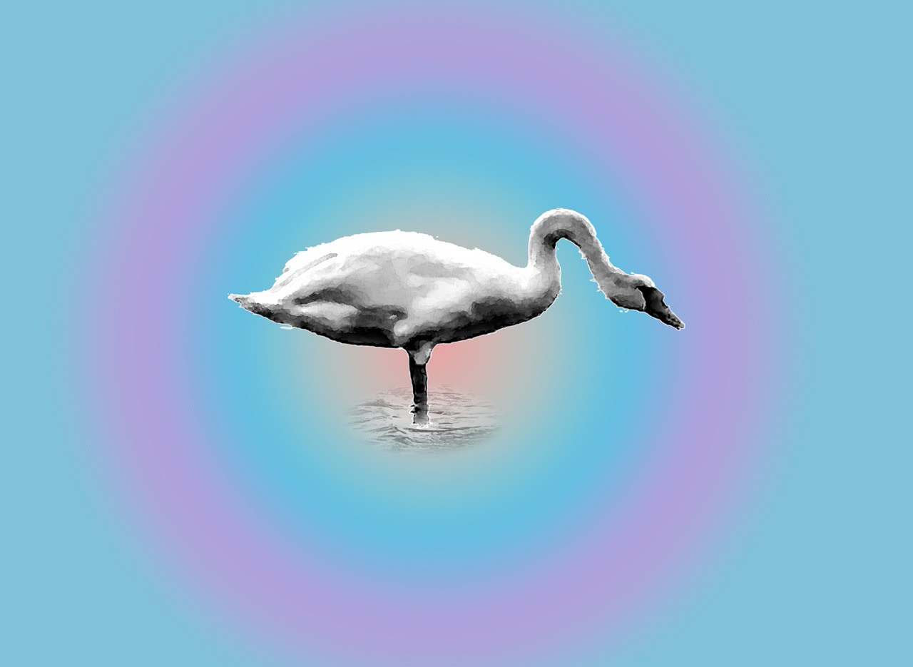 Ugly Duckling Pastel