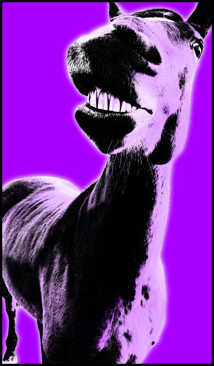 Purple Smile
