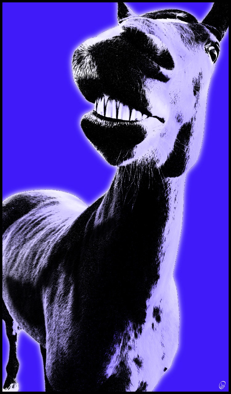 Blue Smile