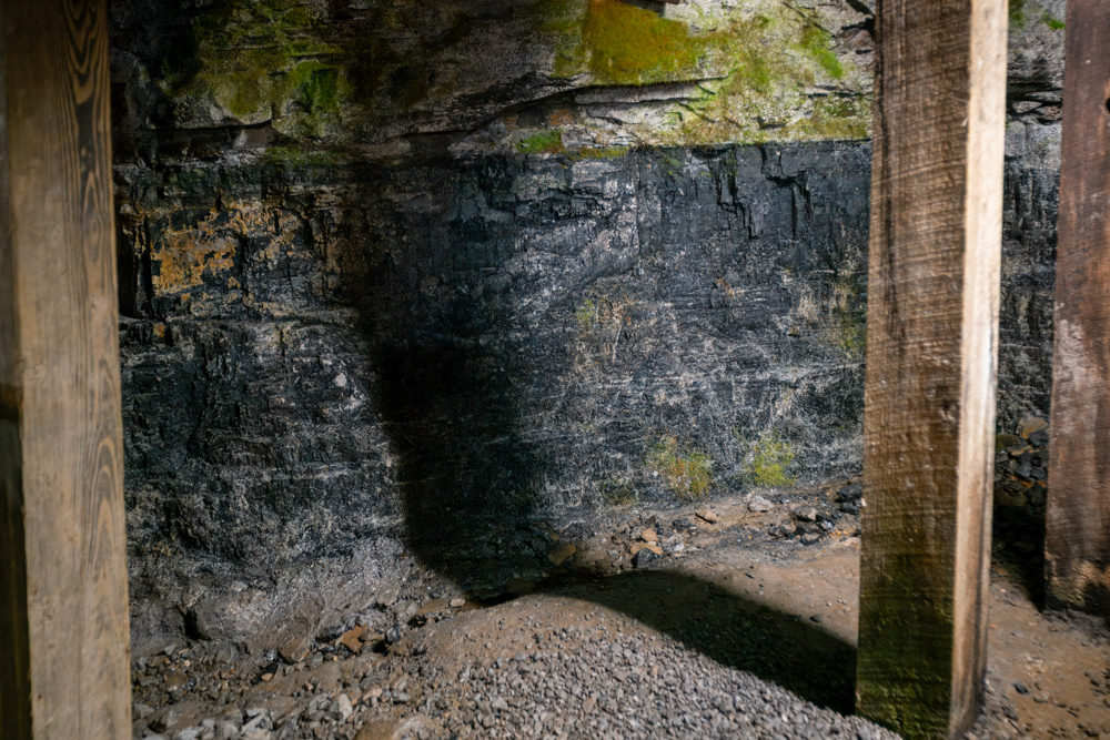 Coal seam