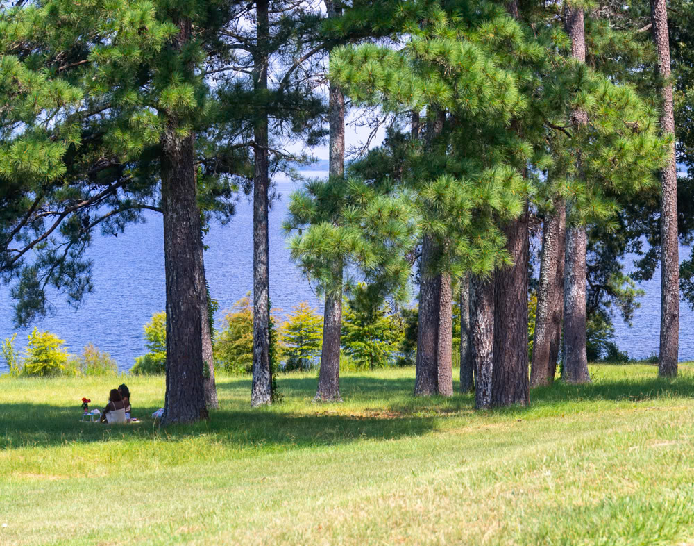 Day by the Lake