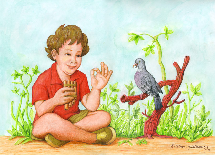 El niño y la paloma torcaz