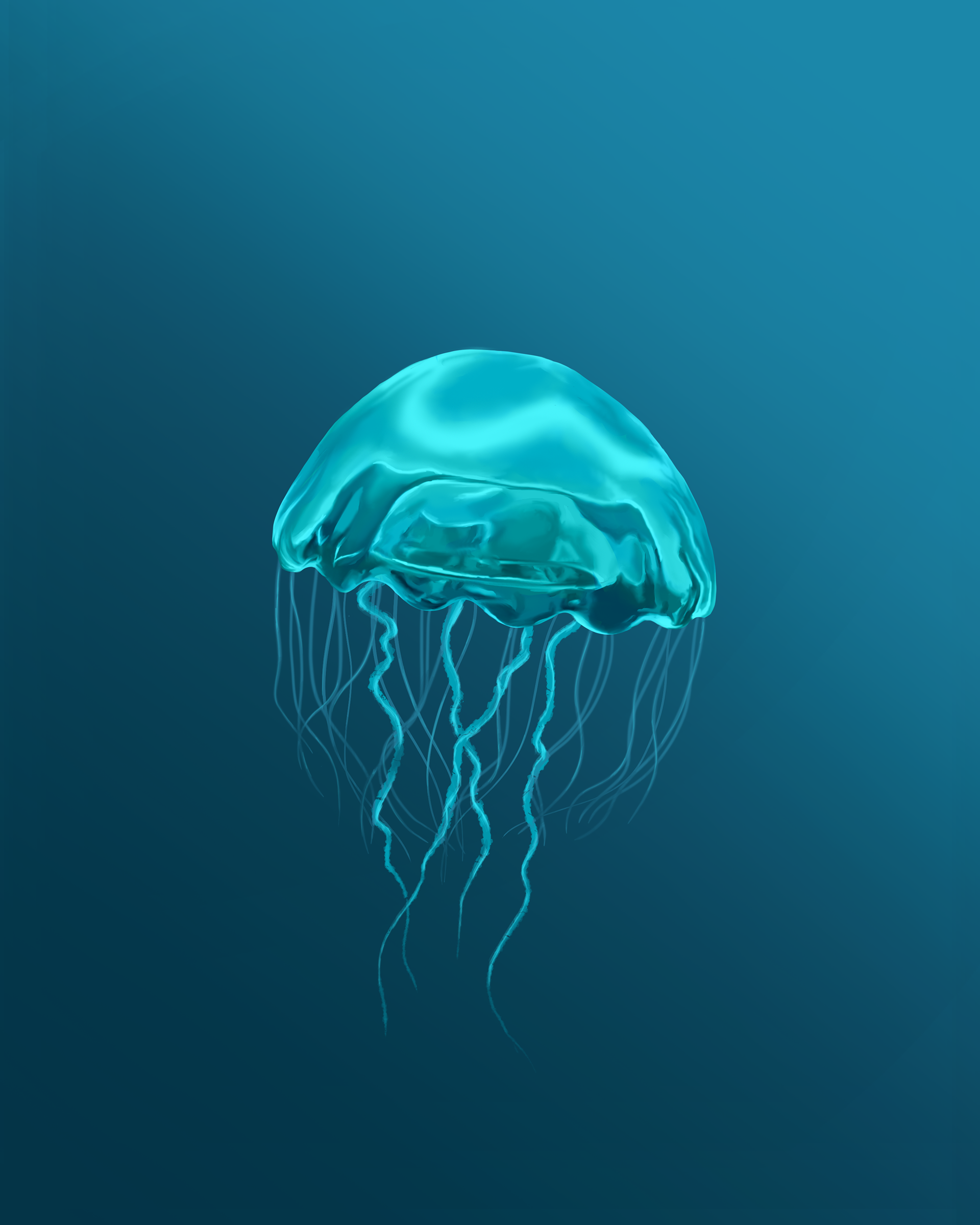 Orb Jelly Fish