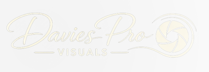 Davies Pro Visuals