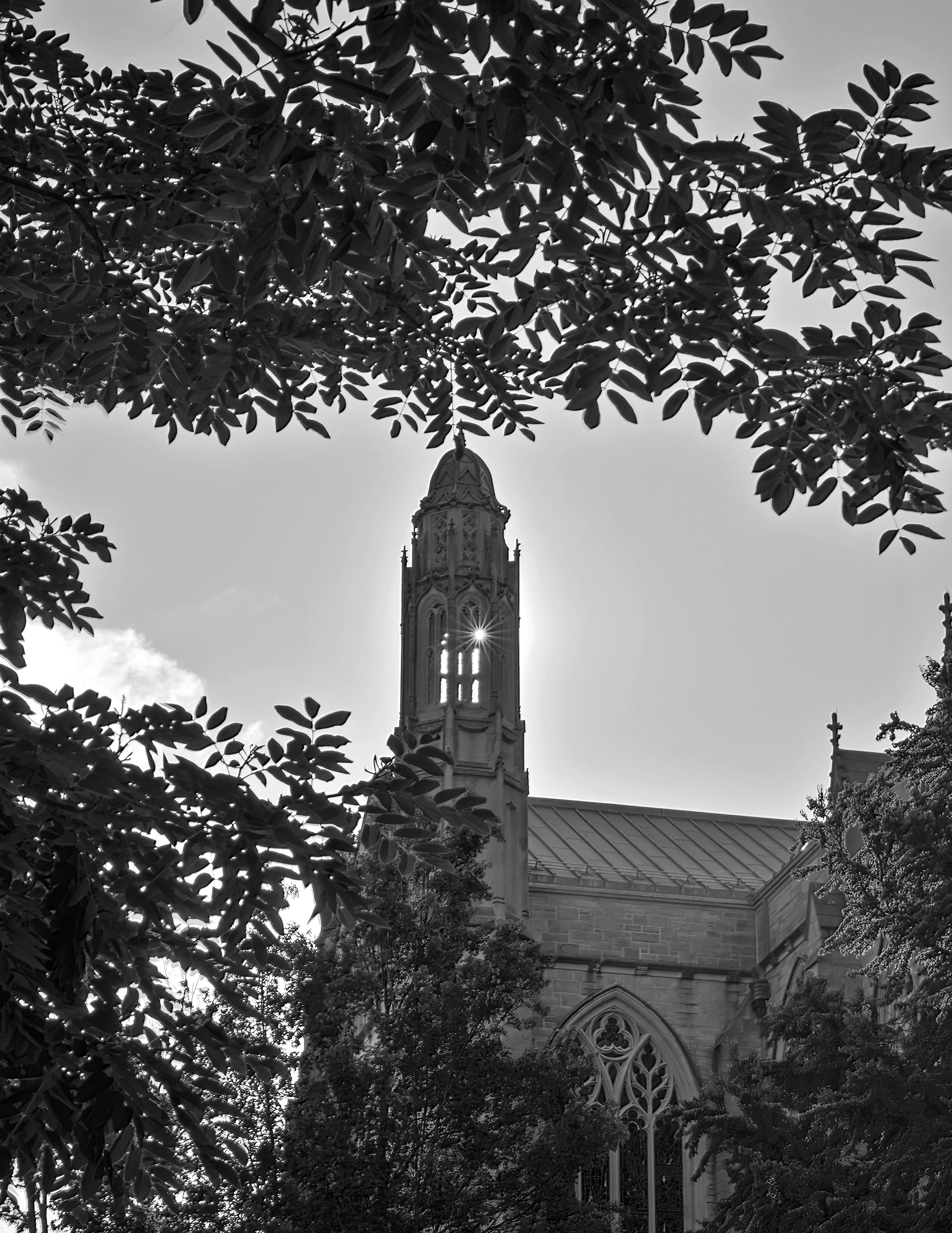 Princteon University