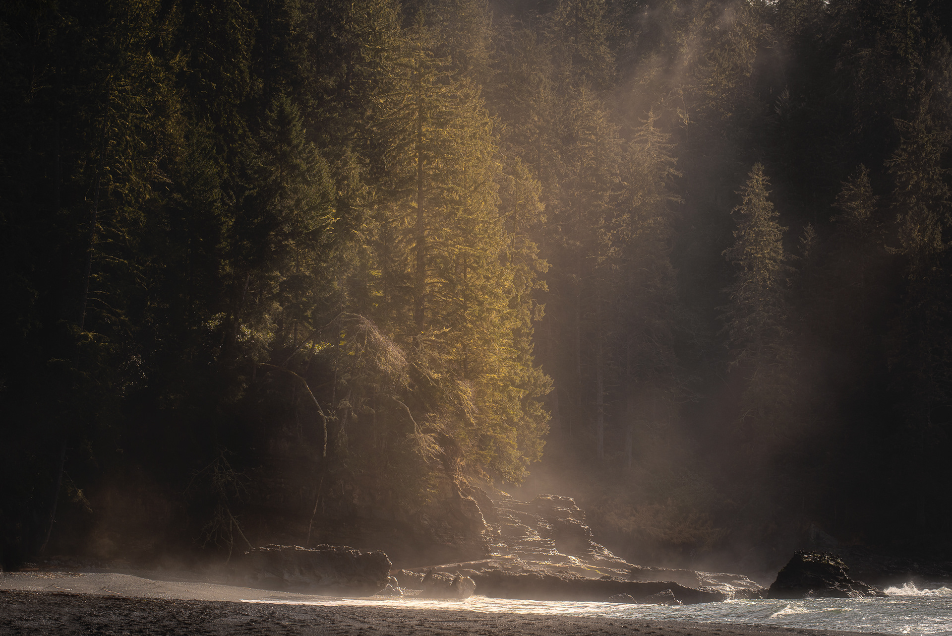 ‘West Coast Light’