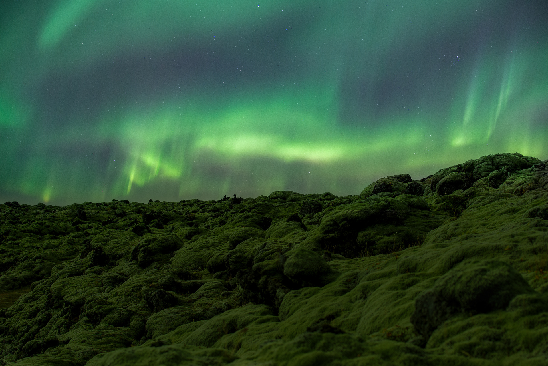 'Layers of Green’