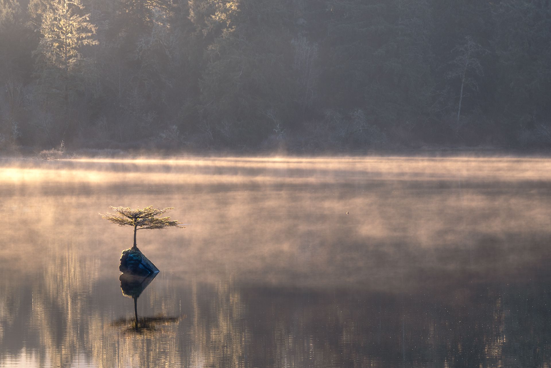 ‘Rolling Mist’