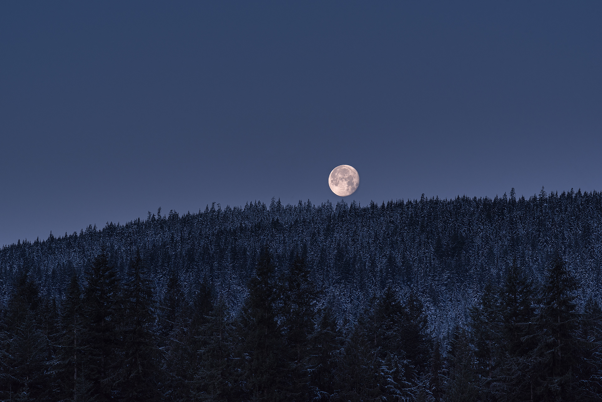 'The Setting Moon'
