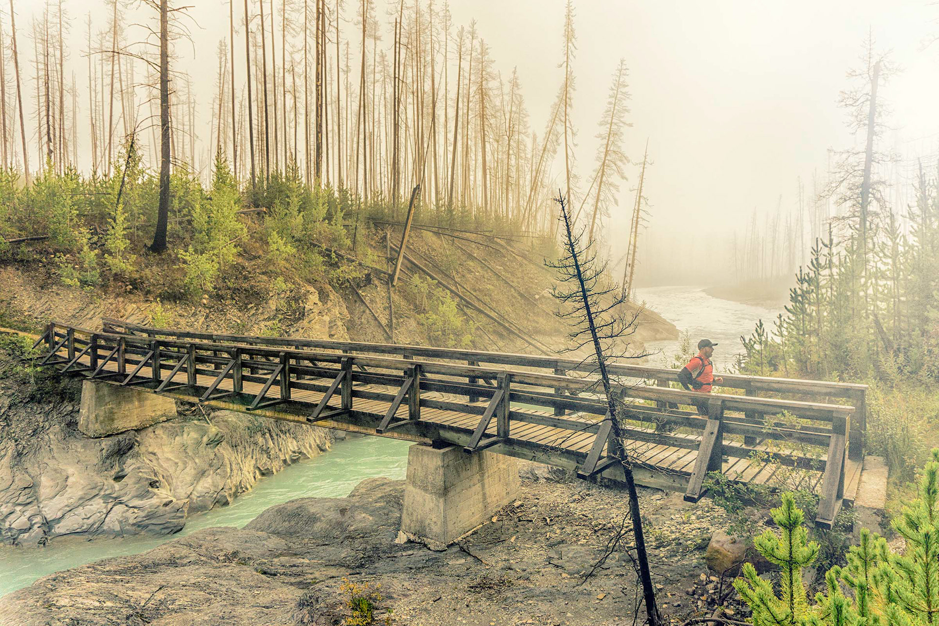 Bridge to Floe Lake, Kootenay NP