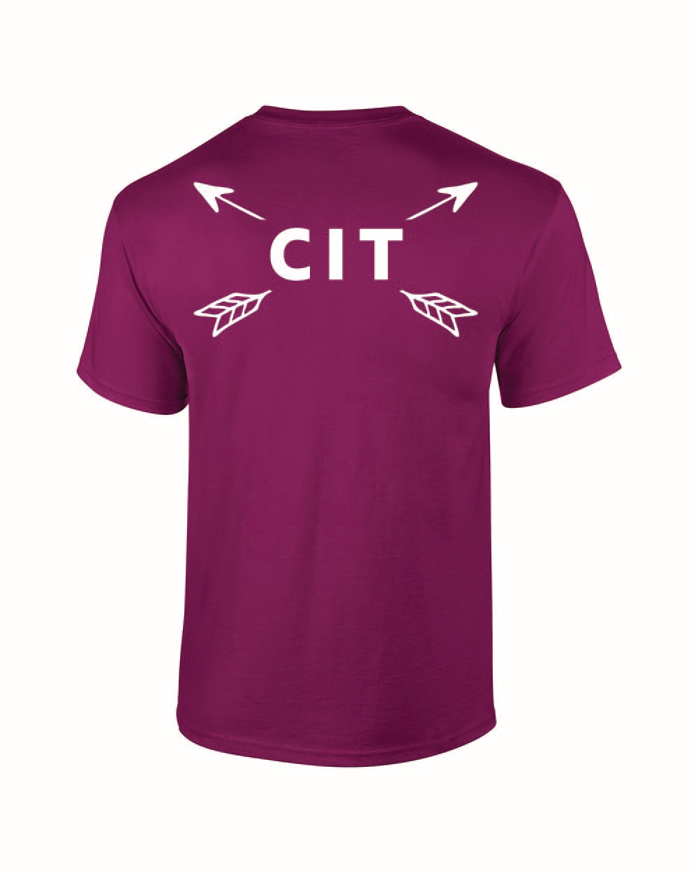 CIT shirt - back