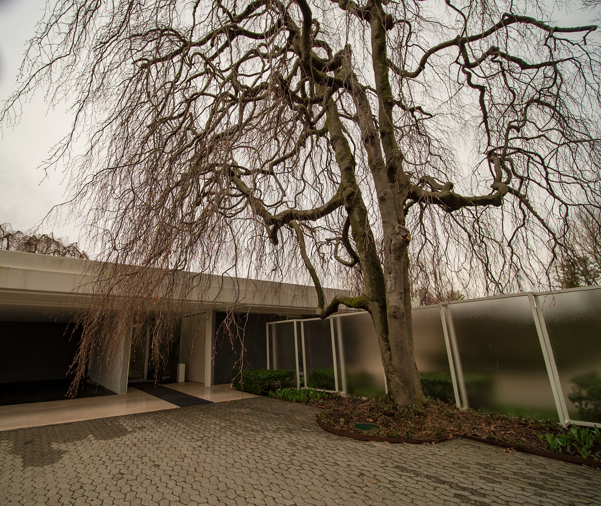 Miller House, Eero Saarinen, 1953