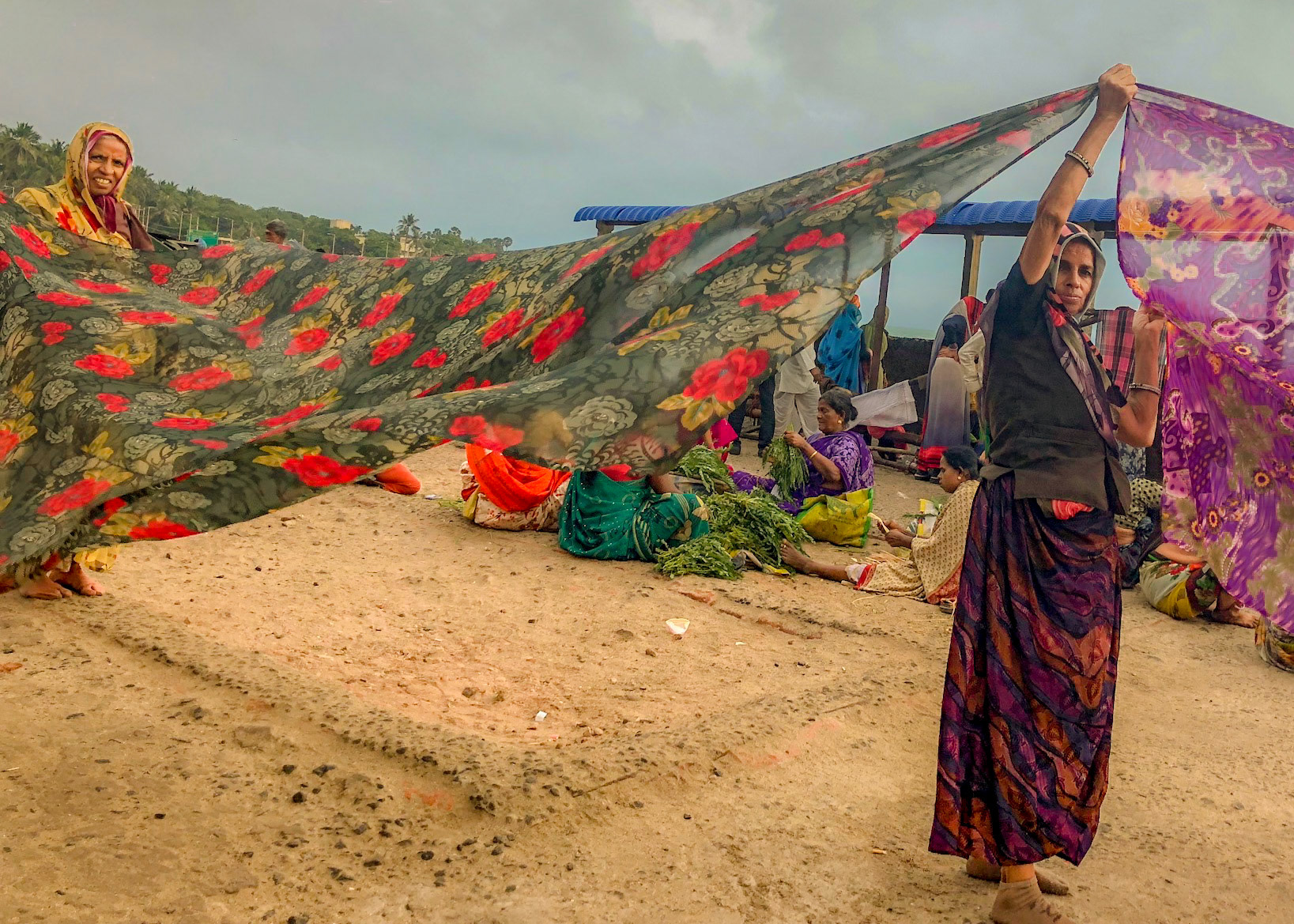 28. Saris Drying