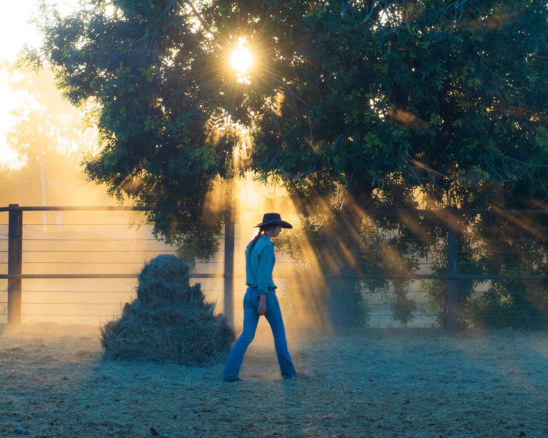 Honorable Mention, Evanston IL 2019