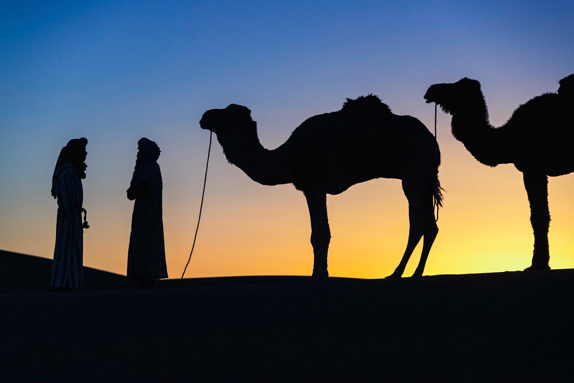 Sahara Silhouettes