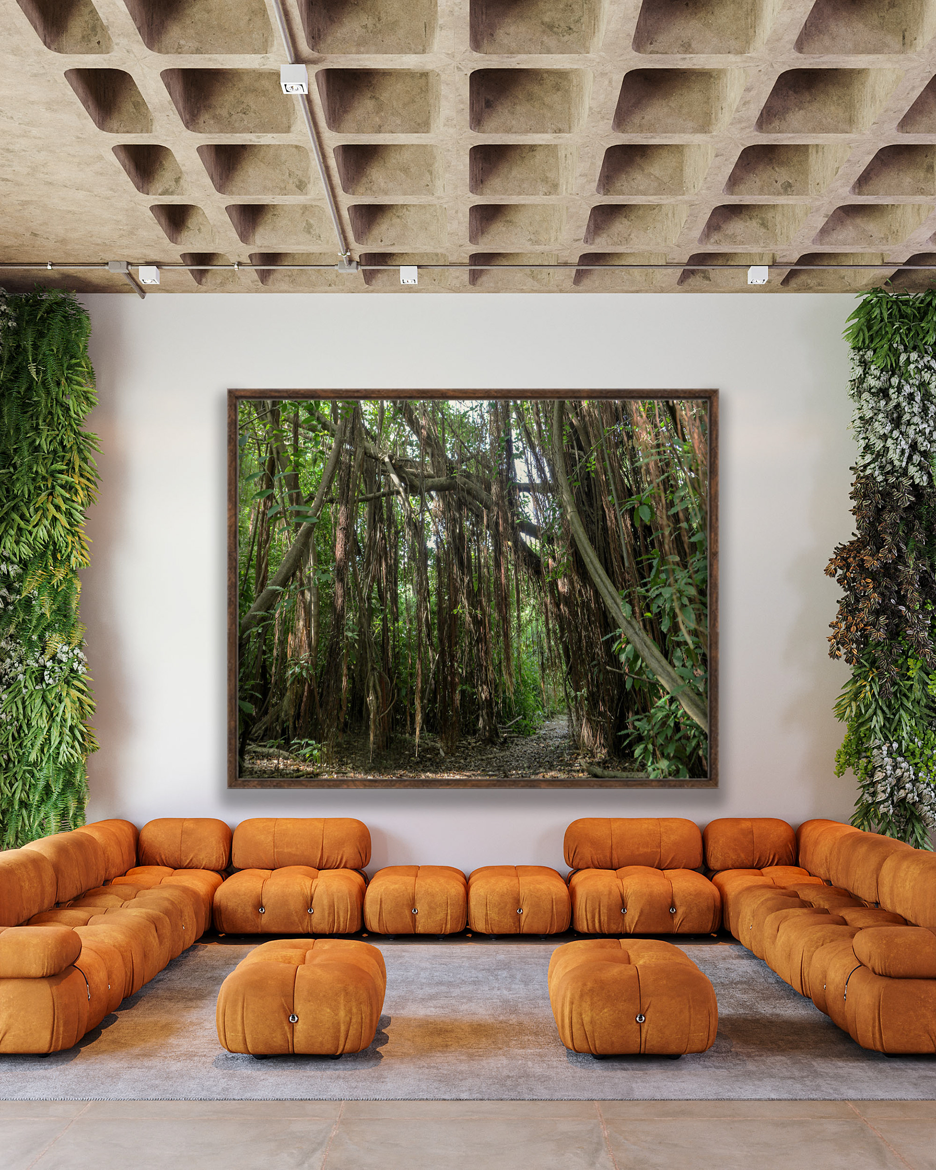 Cipós [Ficus Noronhae] espécie endêmica em Noronha, BR