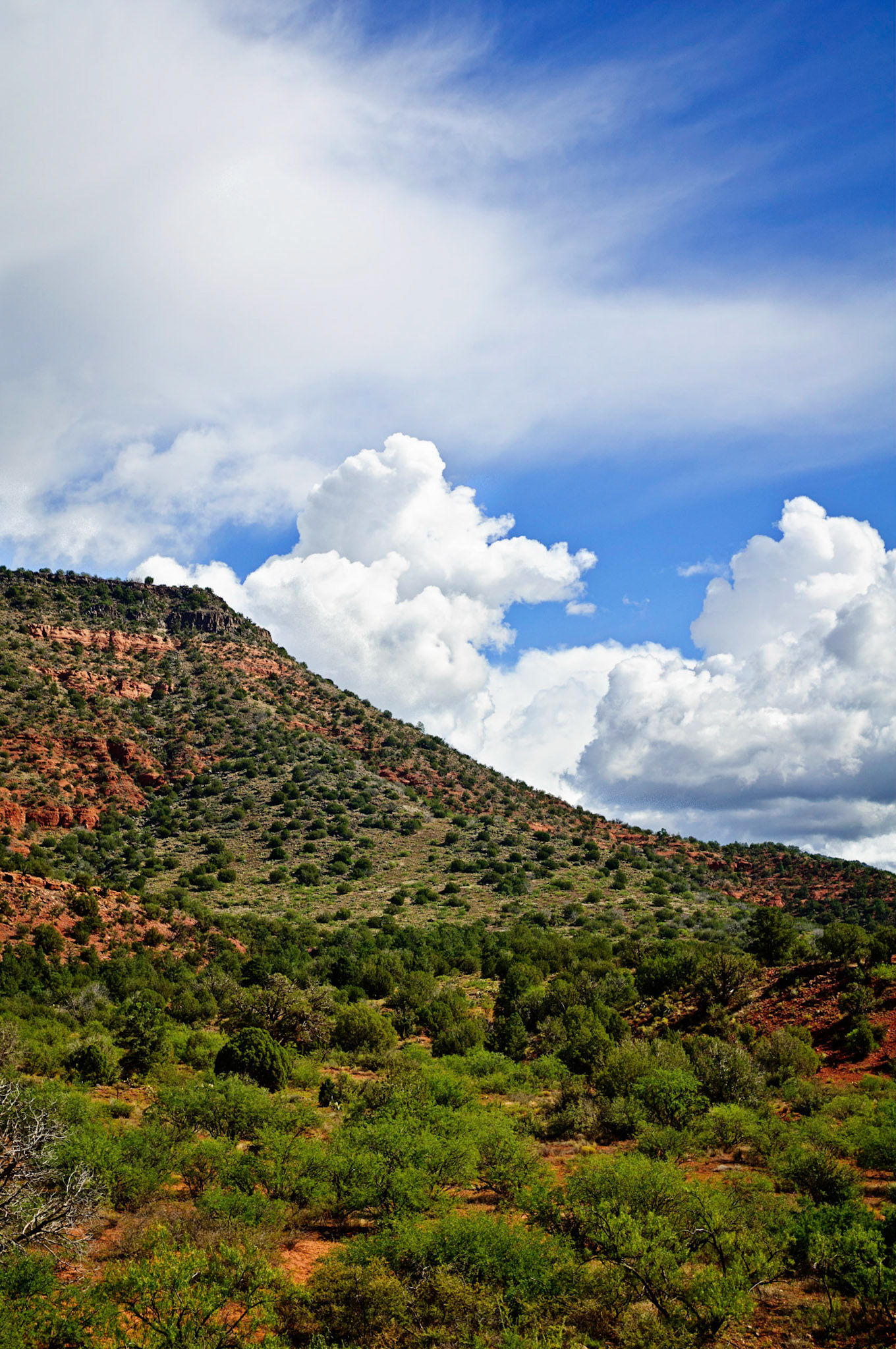 Sedona