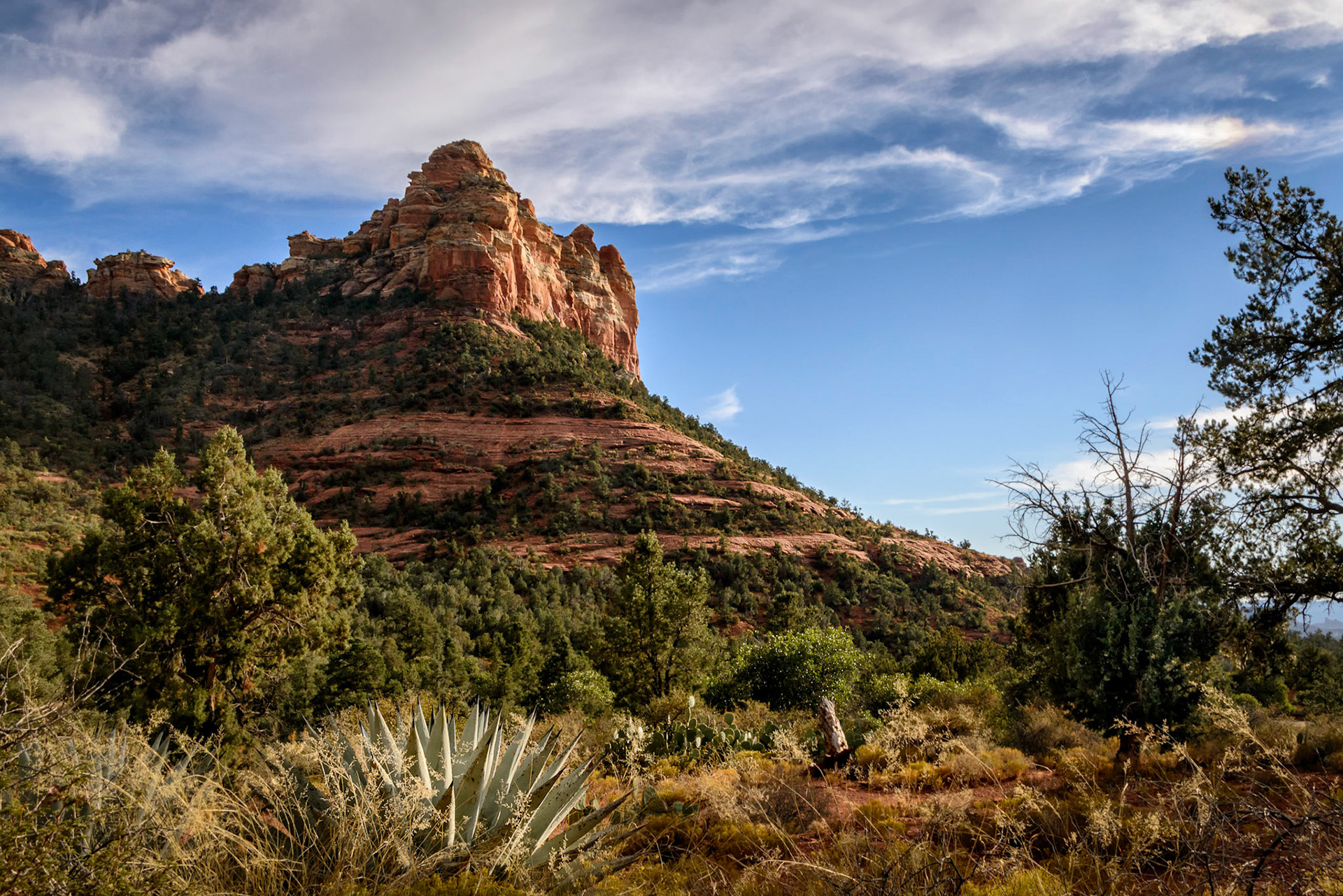 Sedona