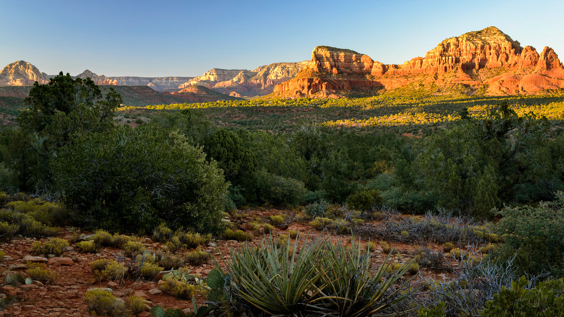 Sedona