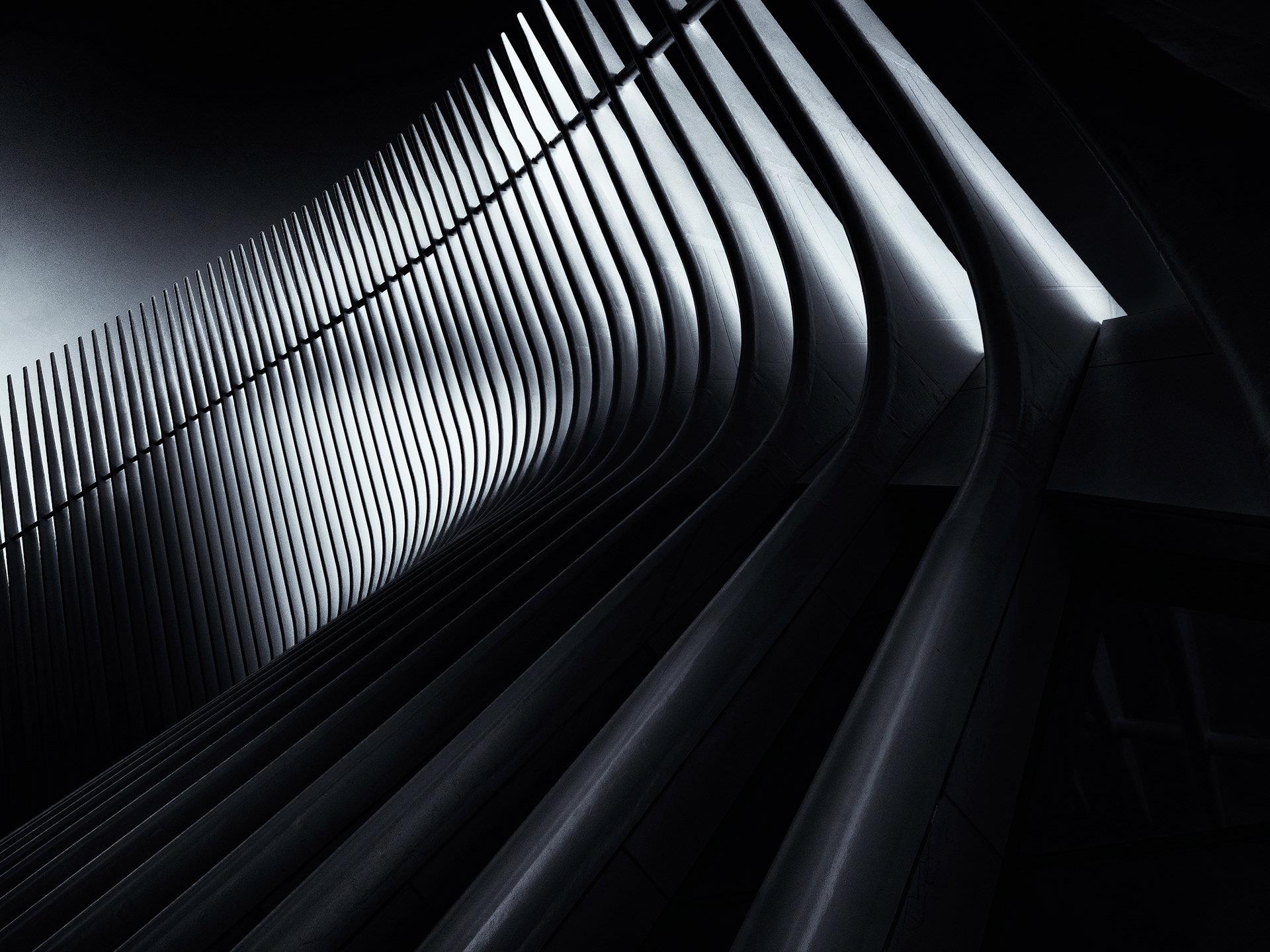 The Oculus - NY
