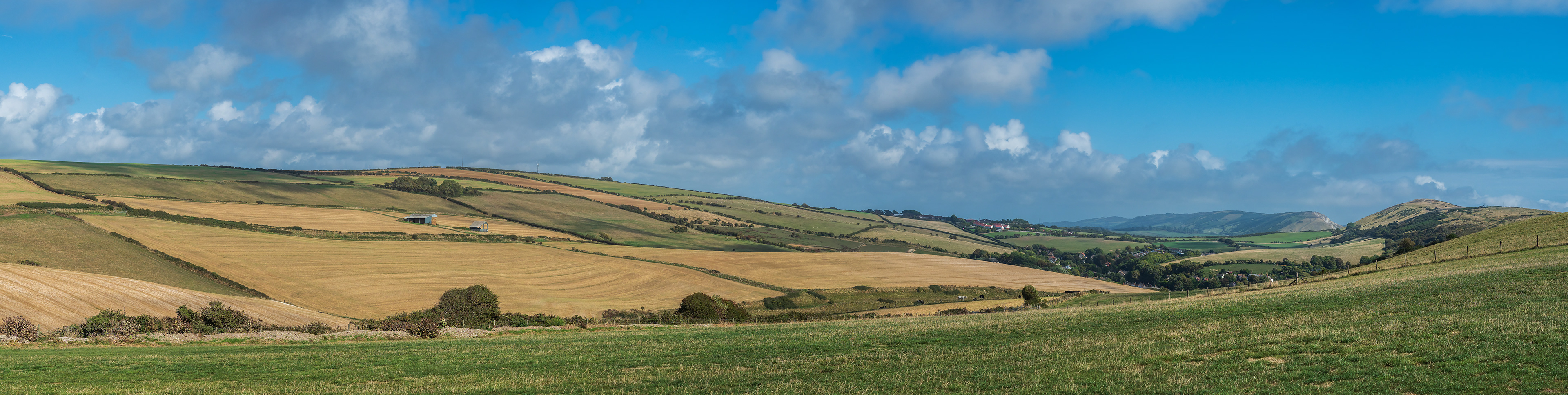 The Dorset Countryside