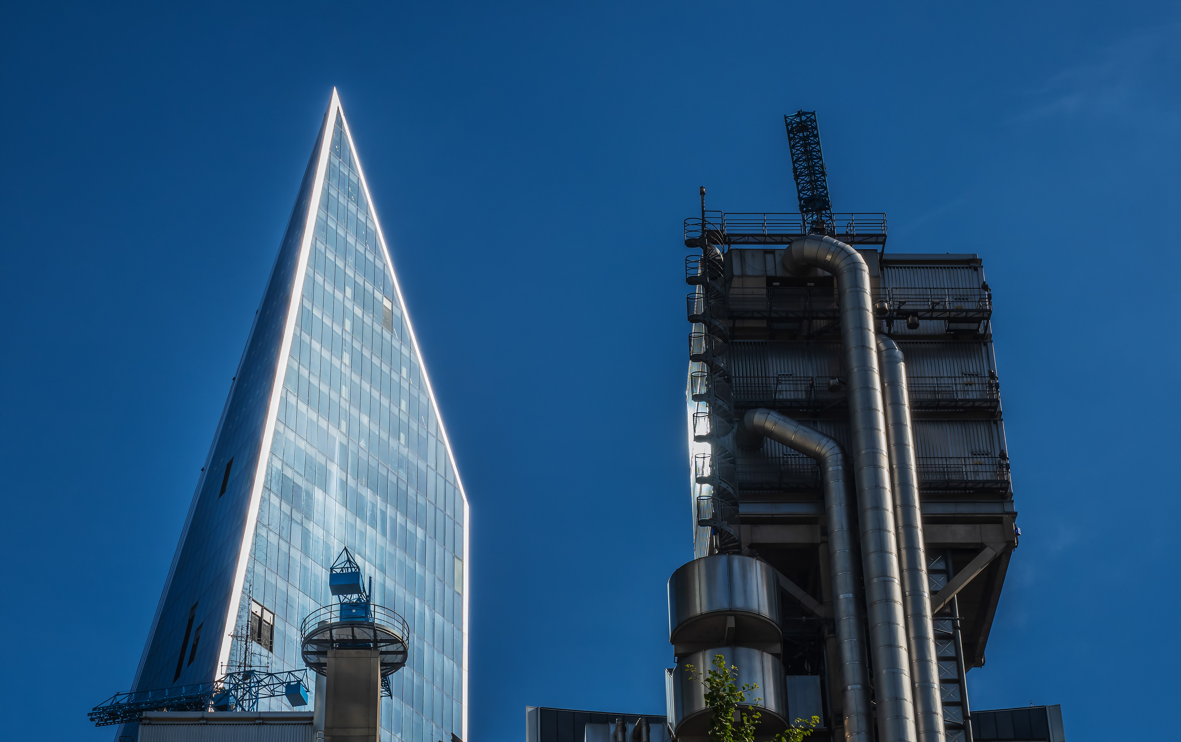Lloyds and The Scalpel