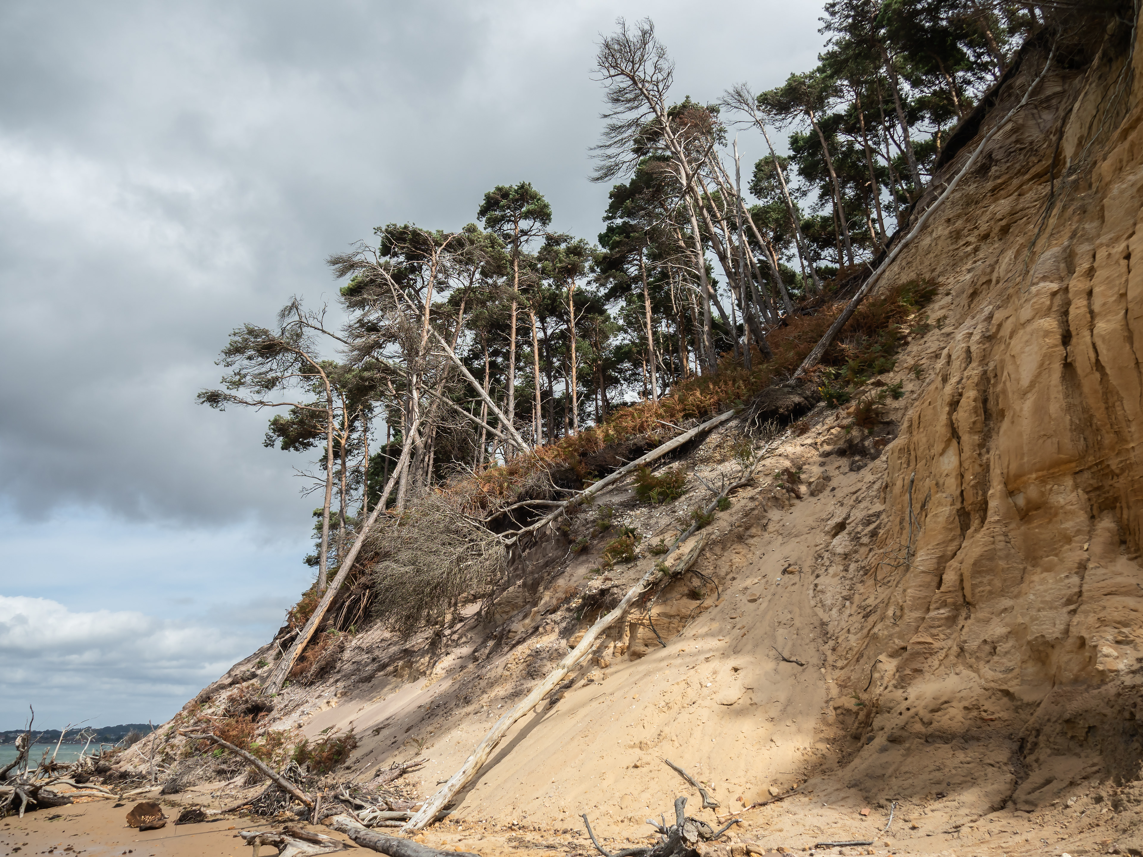 Brownsea Island
