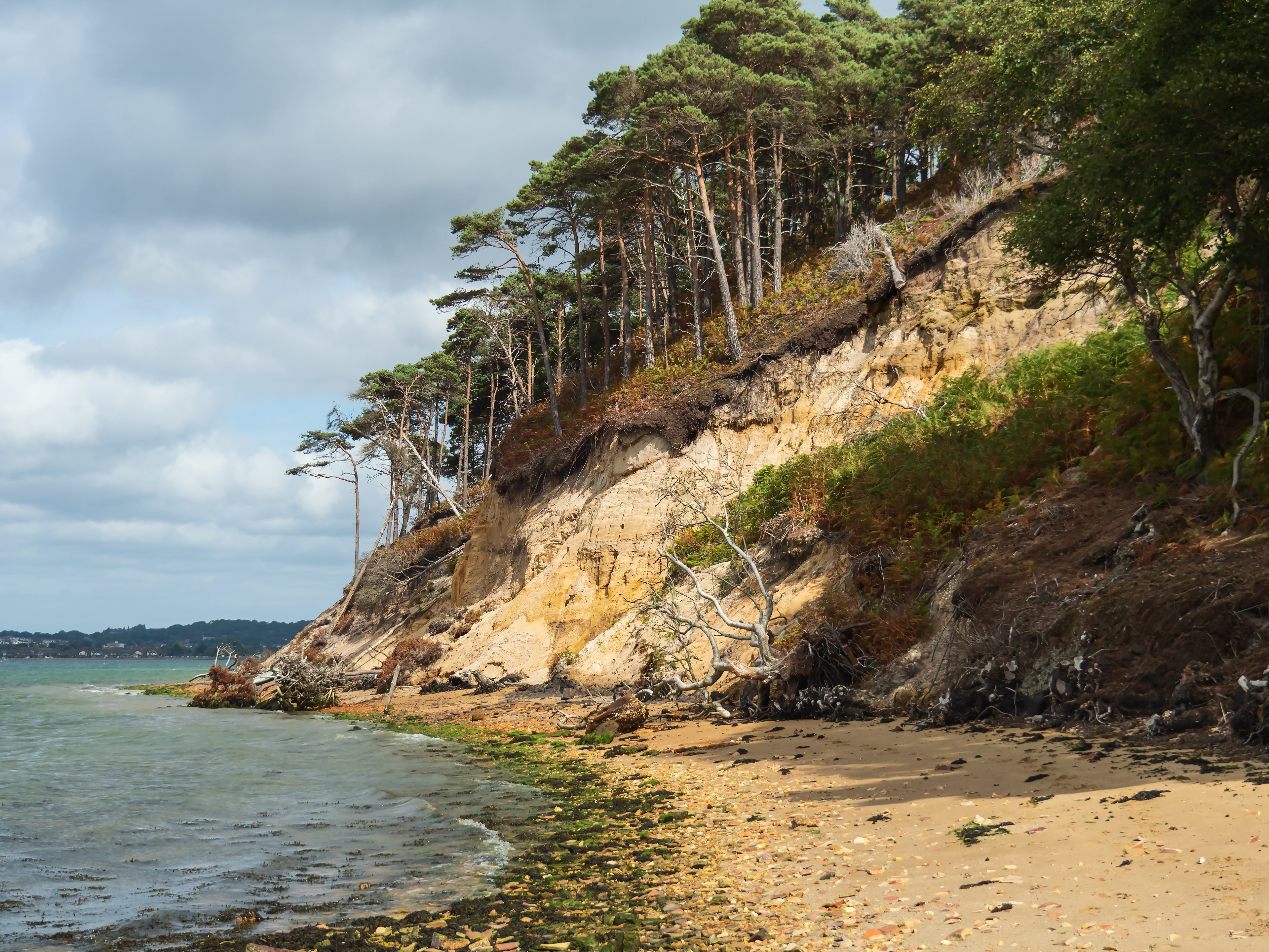 Brownsea Island