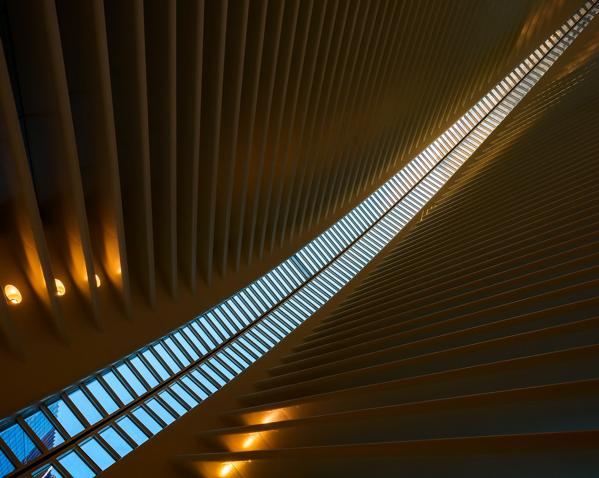 The Oculus - NY