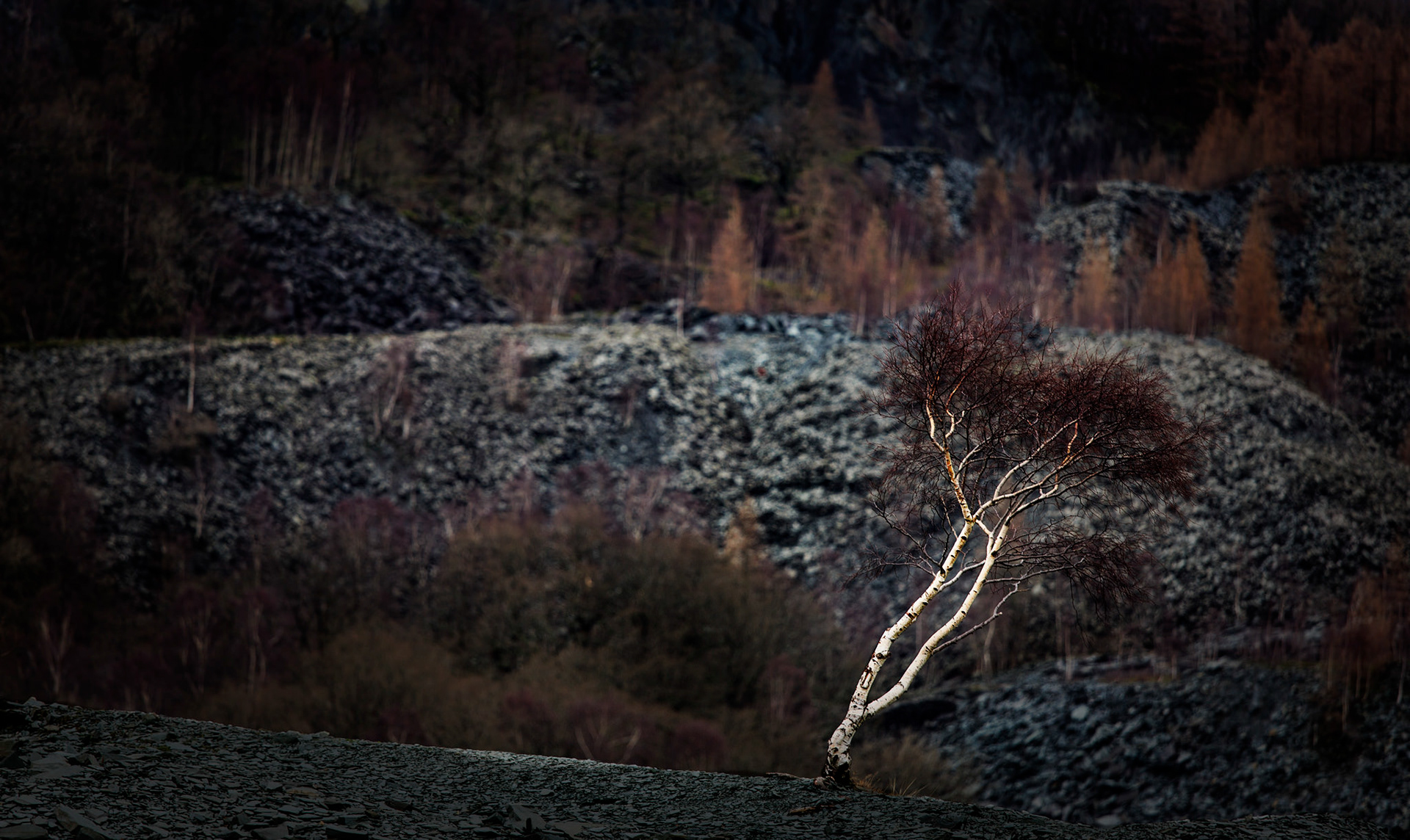 Hodge Close Slate Quarry