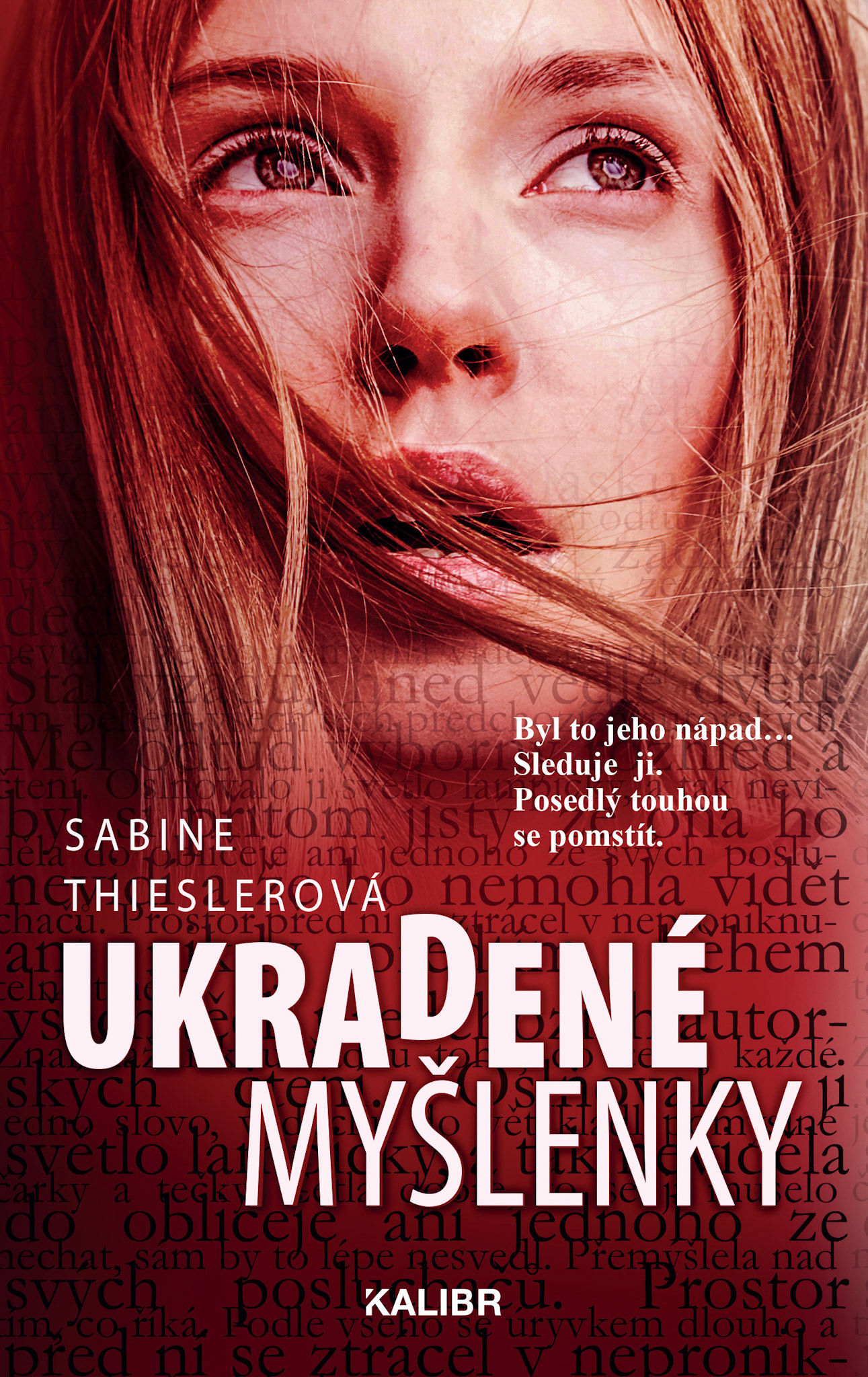 ukradene myslenky- přebal