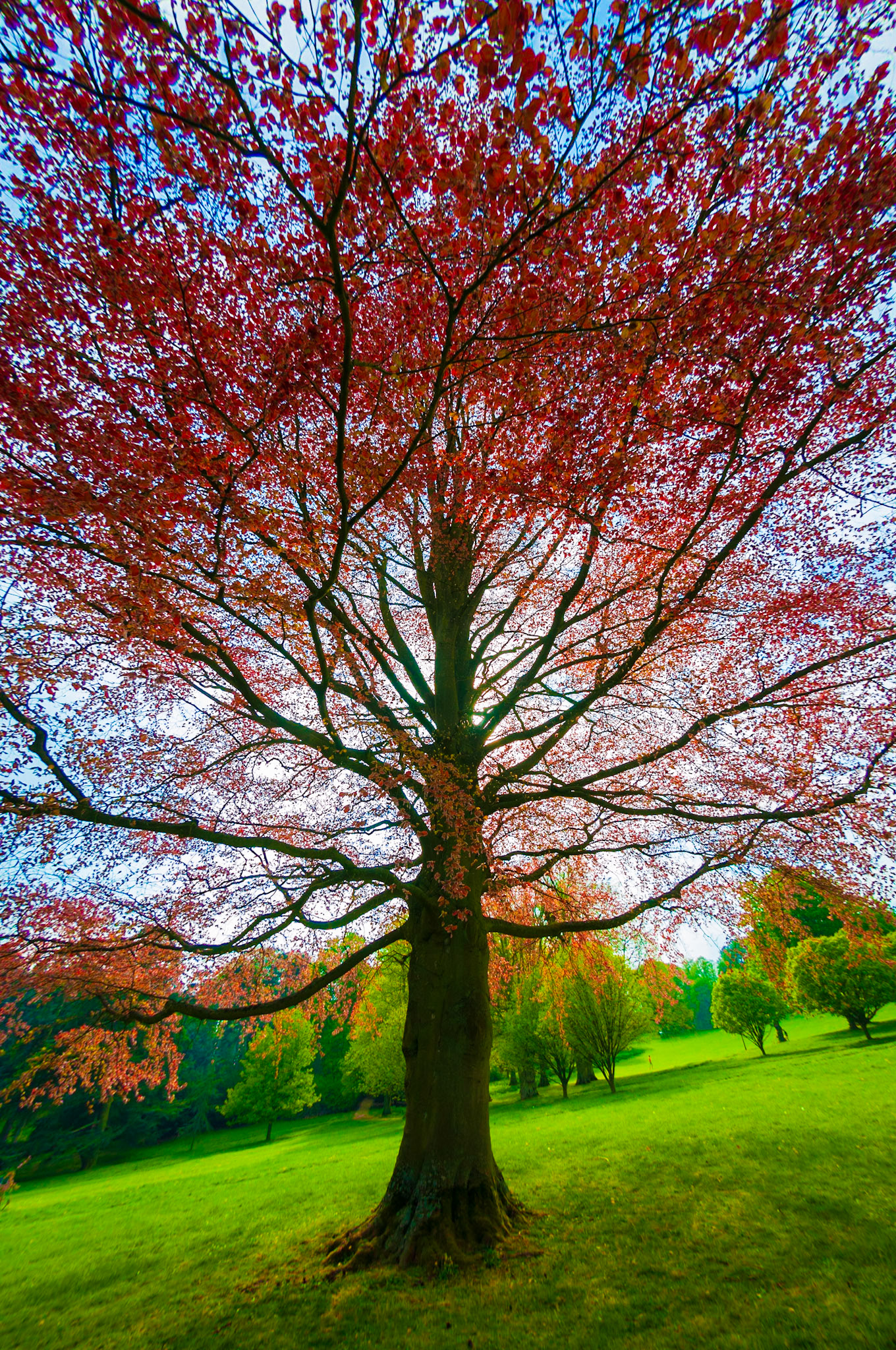 Waddesdon Manor 2011