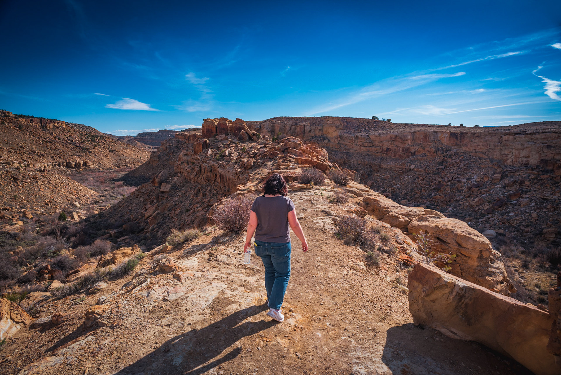Rochester Art Panel Hike, 2023