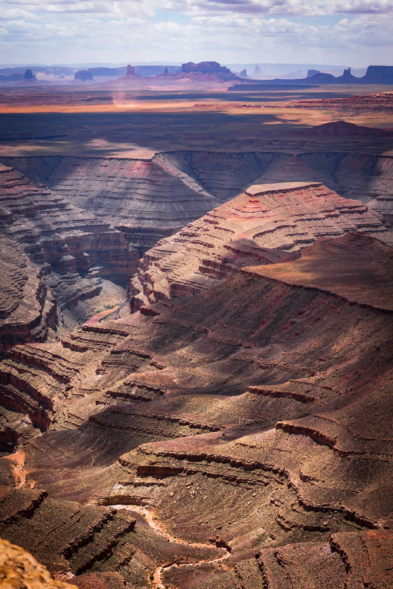 Muley Point East View, 2023