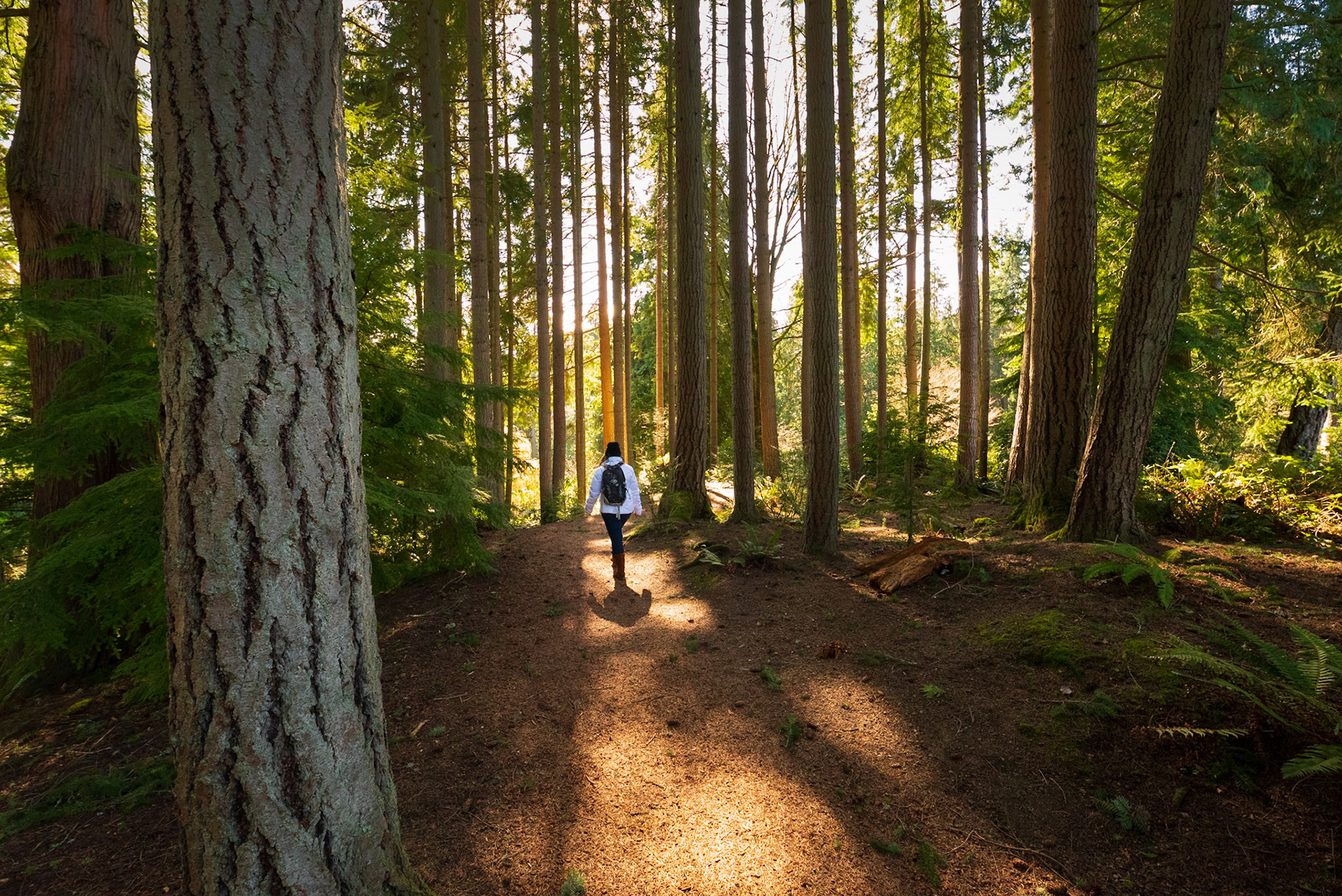 Bloedel Reserve, 2020
