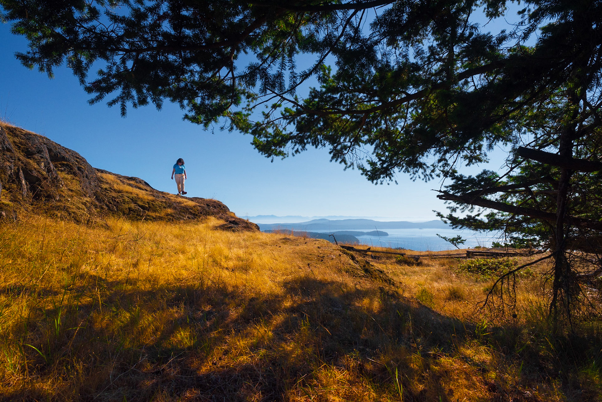 Mind the step, Orcas, 2020