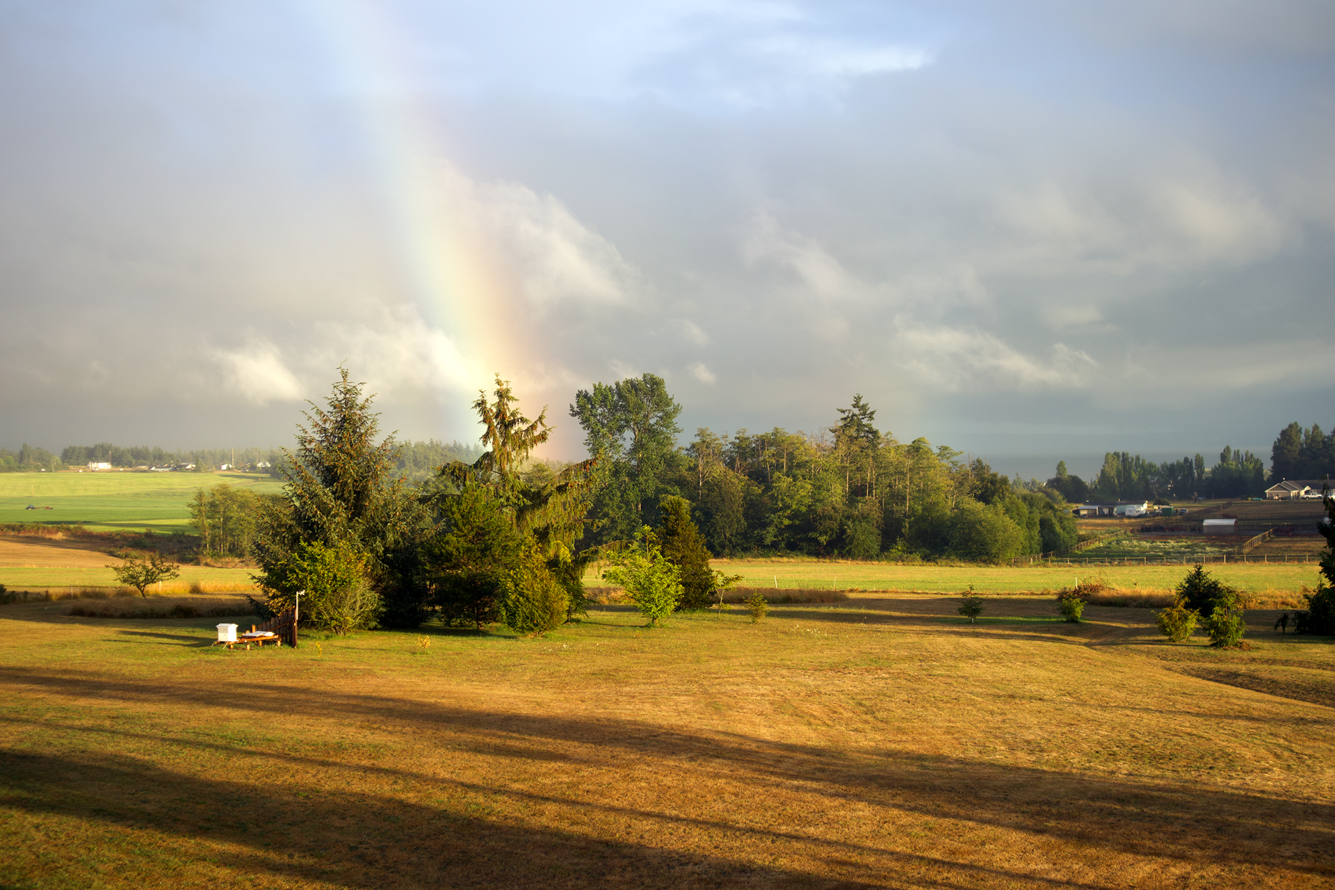 Rainbow on Camano Island (2024), WA, USA | Camera: Canon EOS M50 Mk. II | Lens: EF-M 15-45mm