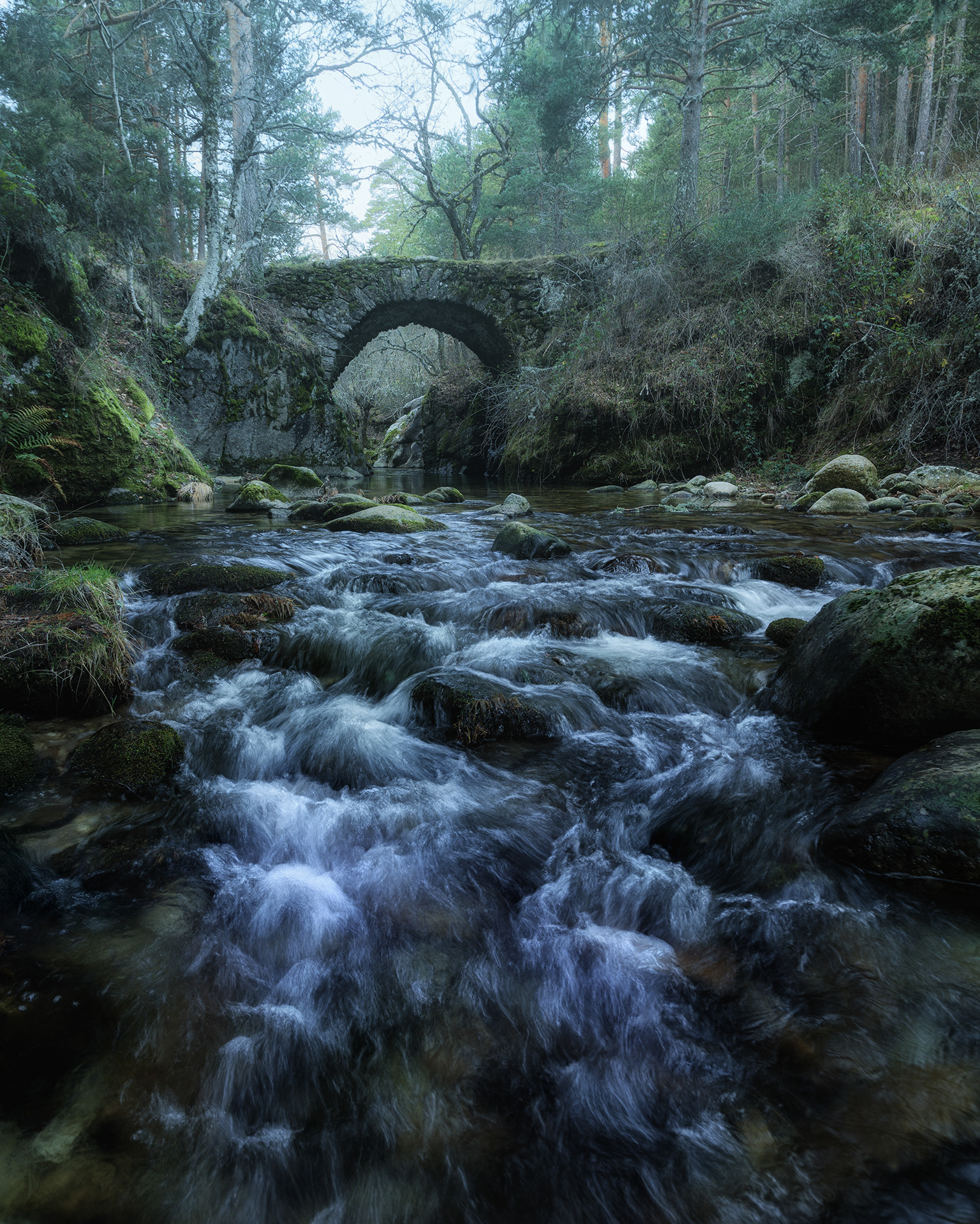 Puente de la Angostura